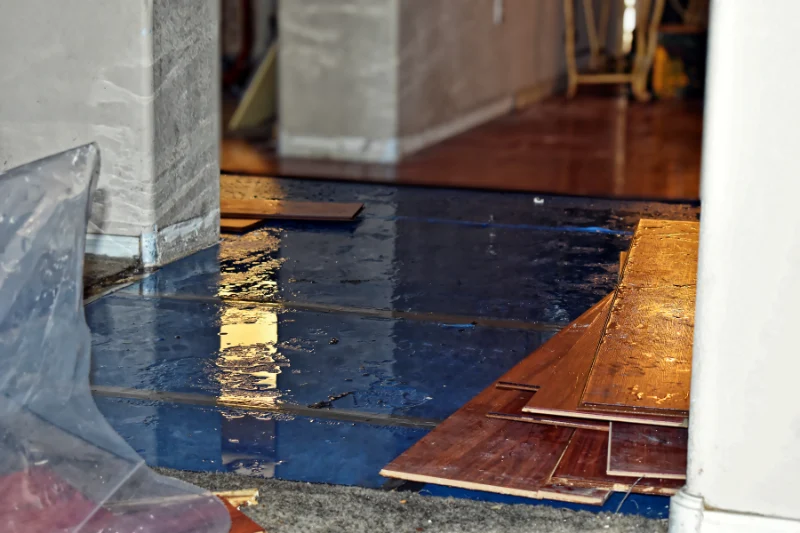 Water damage in house from leaking pipes